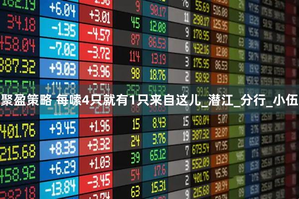 聚盈策略 每嗦4只就有1只来自这儿_潜江_分行_小伍